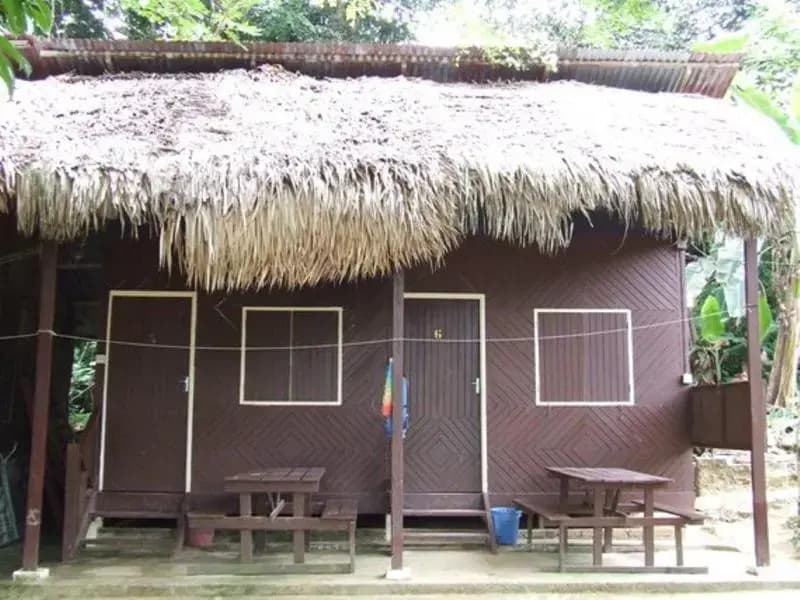 TRV Lodge - photo 2