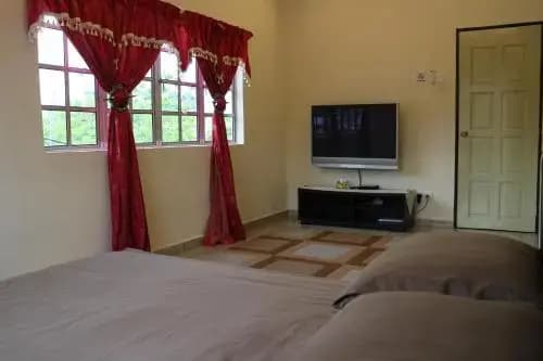 Homestay at 137 - photo 4