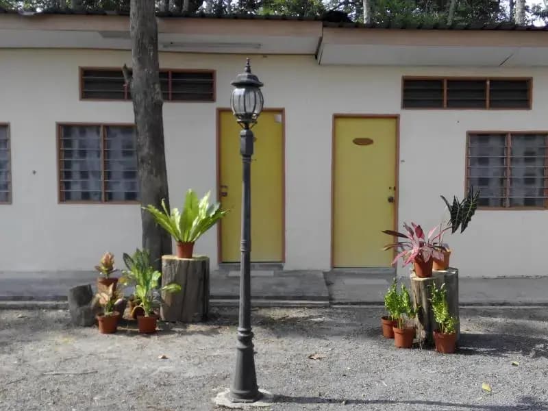 K Hause - photo 1