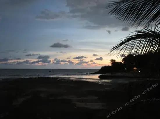 AJ's Guesthouse - photo 4