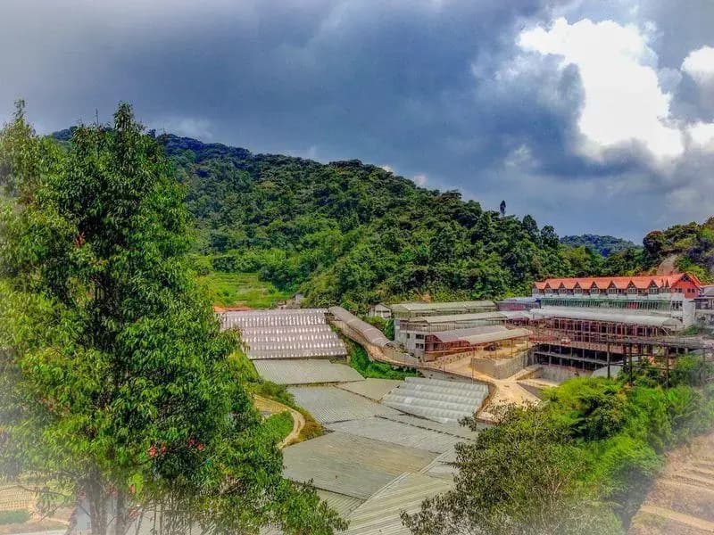 Holiday Accommodation Cameron Highlands - photo 1