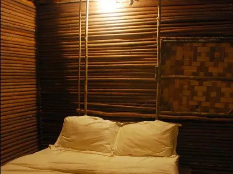Terras Tree House - photo 2