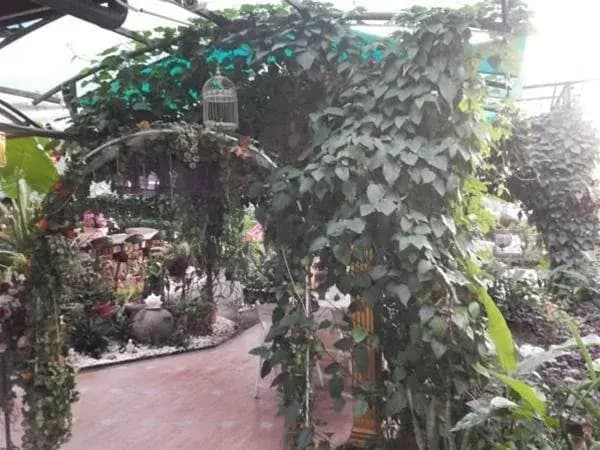 Gunter's Gasthaus Boutique Hotel - photo 3