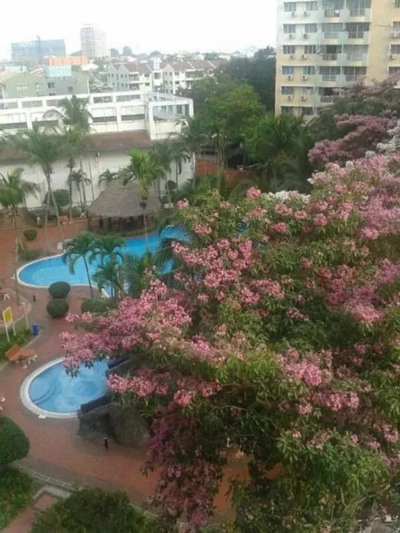 Melaka Garden City Straits Condominium - photo 7