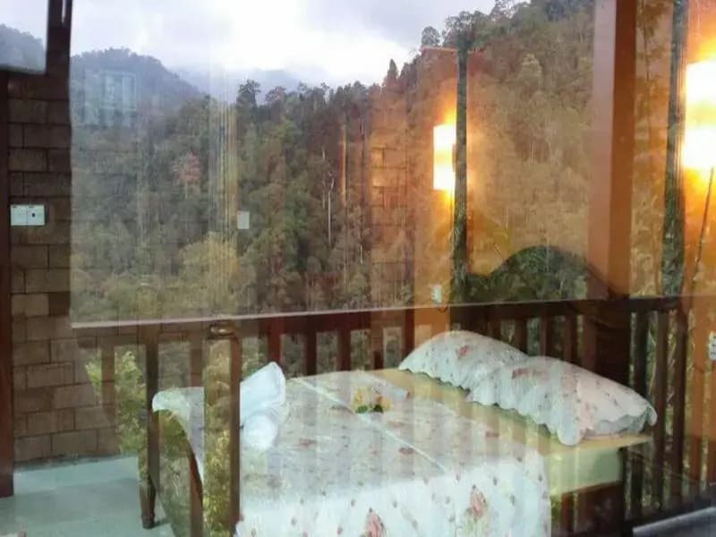 Serenity Sanctuary Eco Vacation Home - photo 8