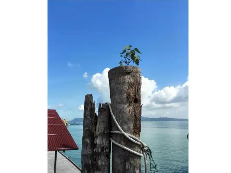 Pangkor Home Sea Village - photo 3