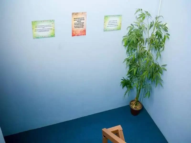 Ppkksk Hostel - photo 8