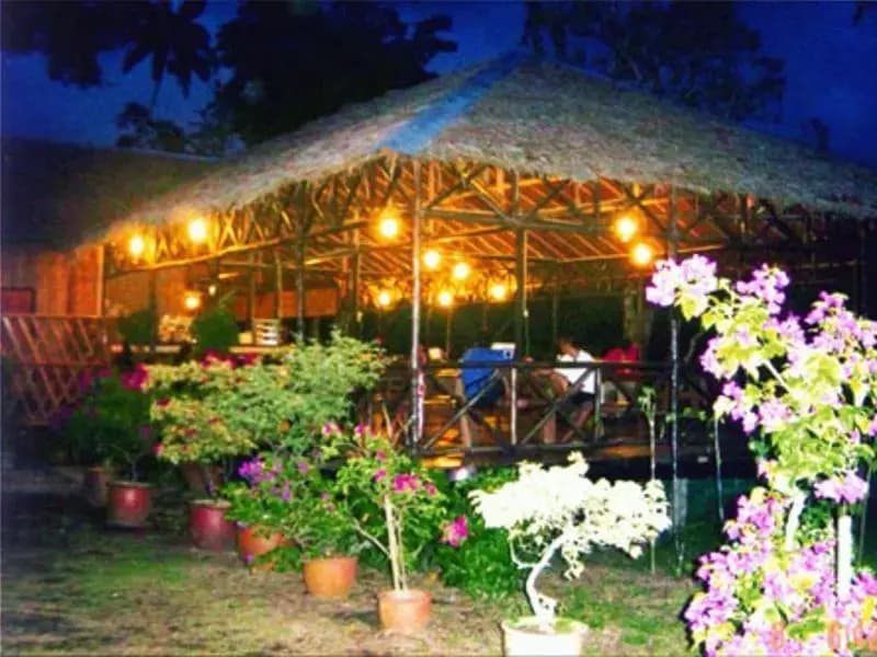 Borneo Proboscis River Lodge - photo 1