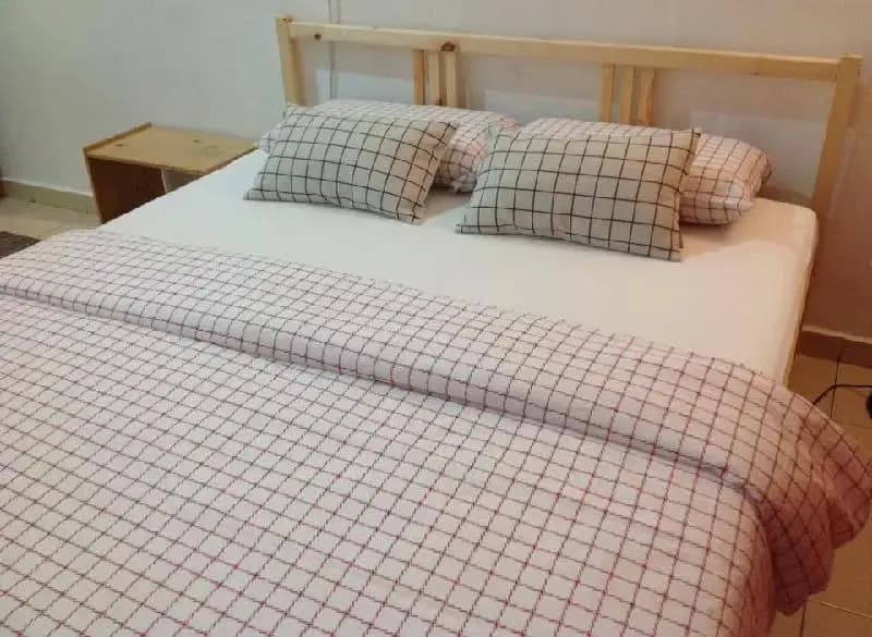 Orked Guesthouse - photo 2