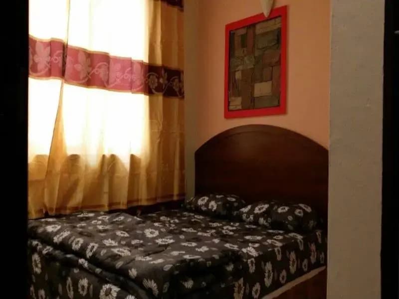 Clover Hotel - photo 4