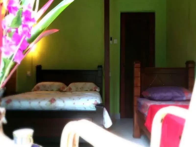 Serenity Sanctuary Eco Vacation Home - photo 2