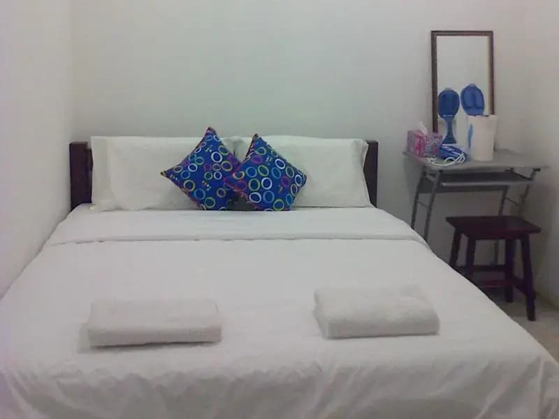 TJ Villa Guest House - photo 3