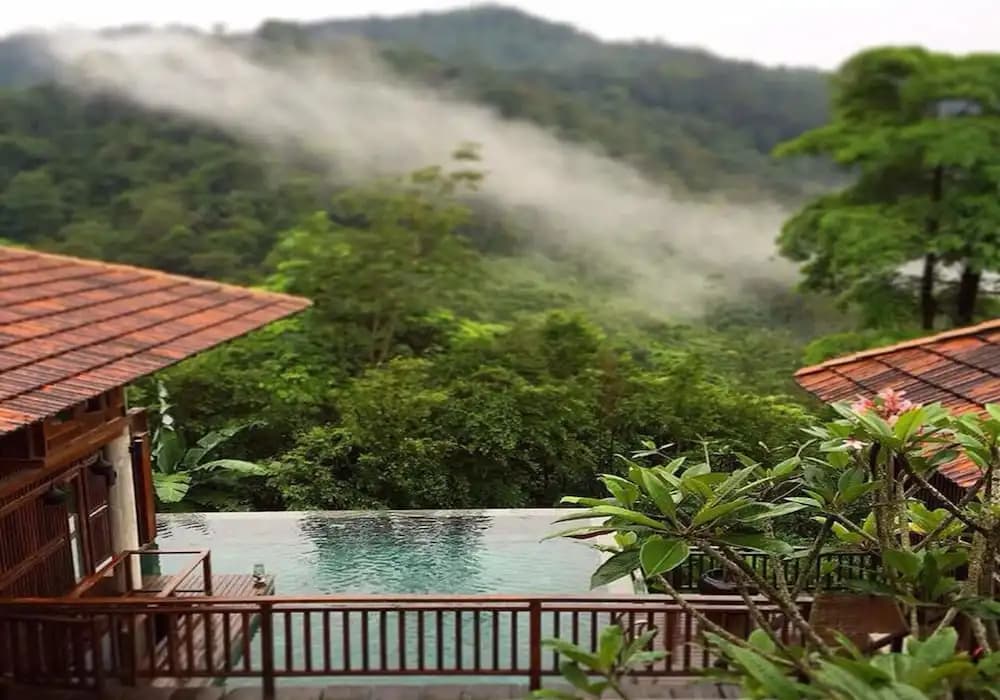 The Shorea - photo 12