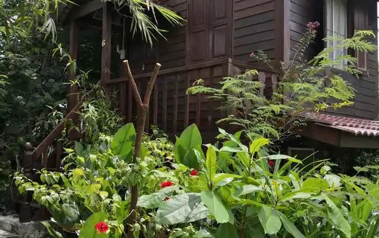 The Garden Resort - photo 8