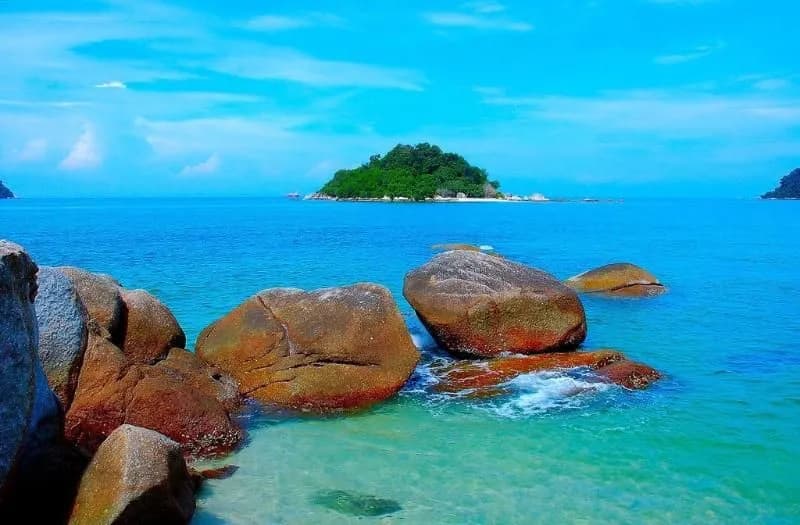 The Island Hotel - photo 10