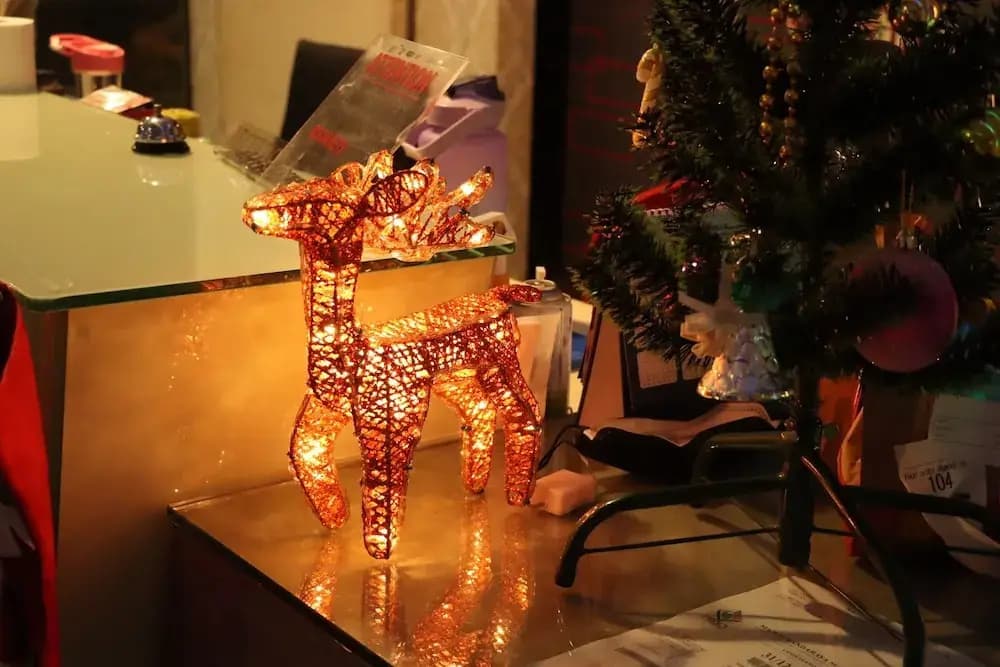 Summer Oscar Boutique Hotel - photo 3