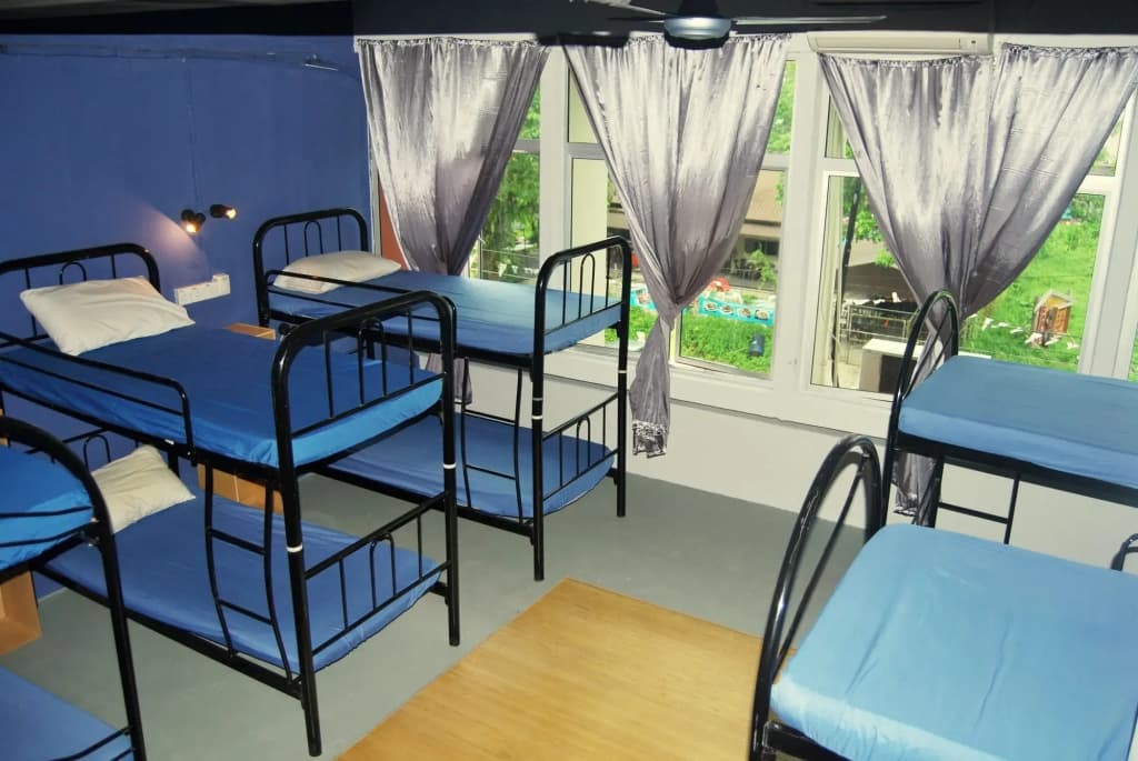 Borneo Seahare Guesthouse - Hostel - photo 8