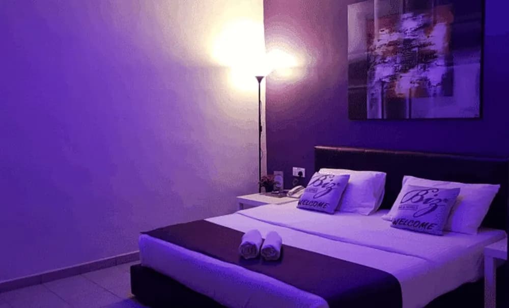 Biz Hotel - photo 6