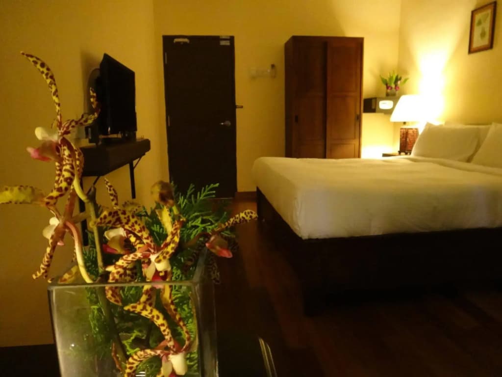 Betel Nut Lodge - Adult Only - photo 3