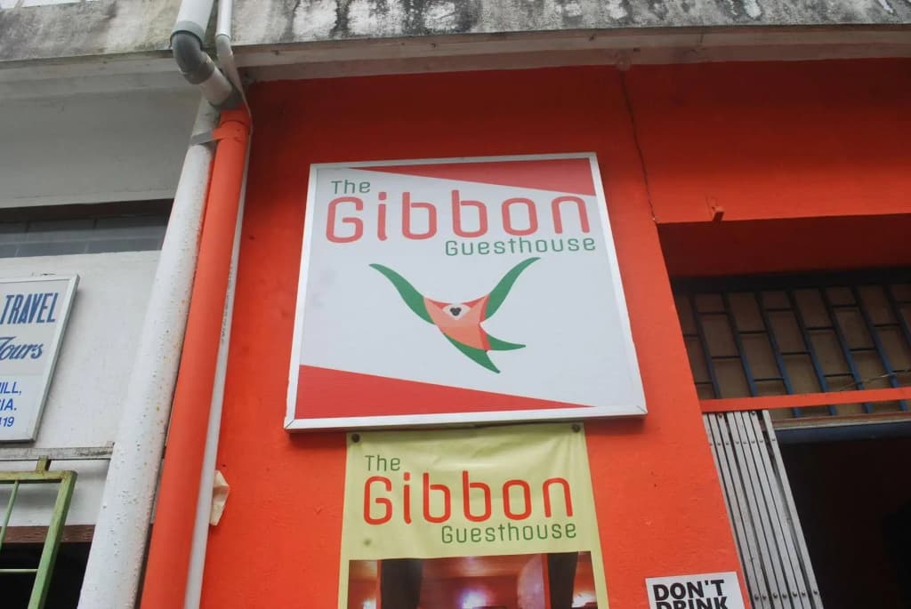 Gibbon Guesthouse - photo 1