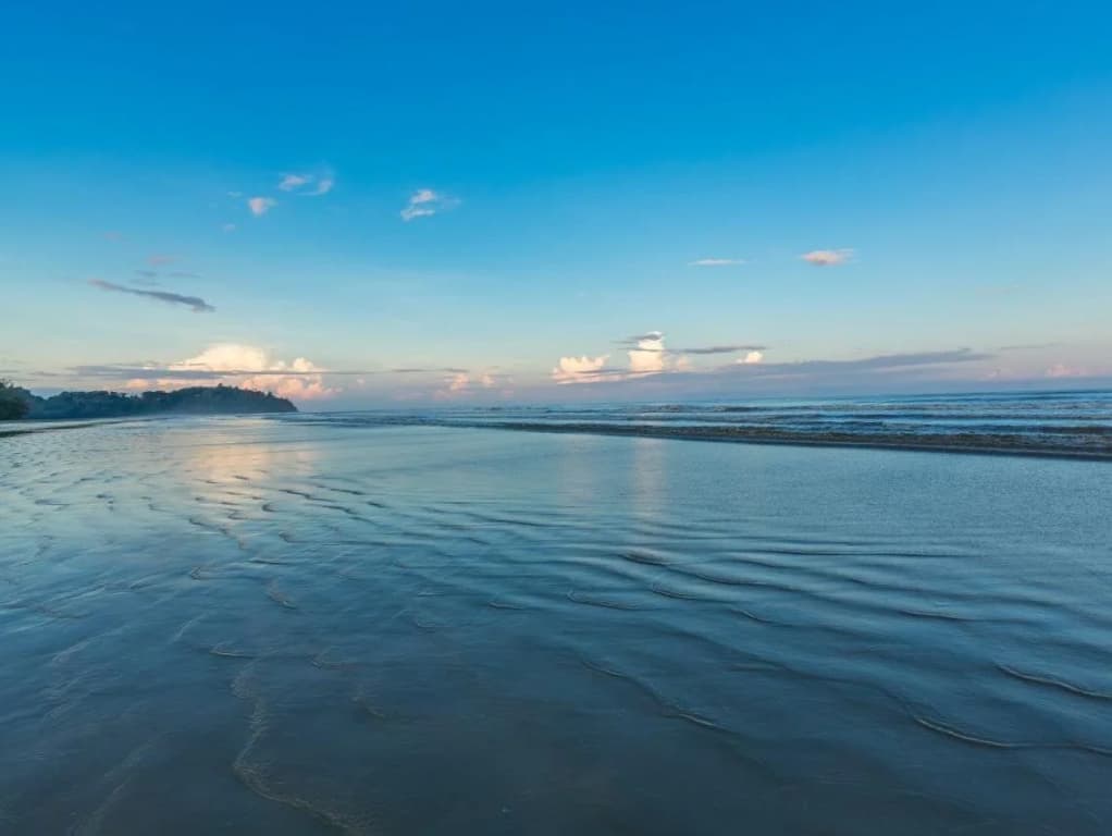 Beringgis Beach Resort & Spa - photo 23