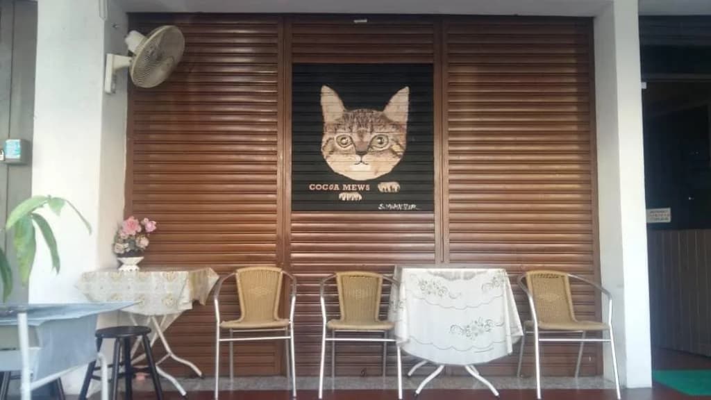 Cocoa Mews Cafe & Homestay - Hostel - photo 23