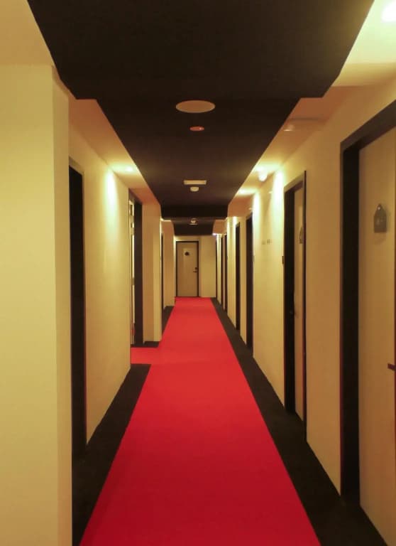 Hako Hotel - photo 12