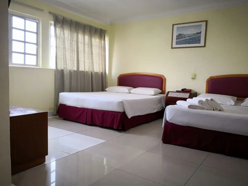 Carlton Star Hotel - photo 6