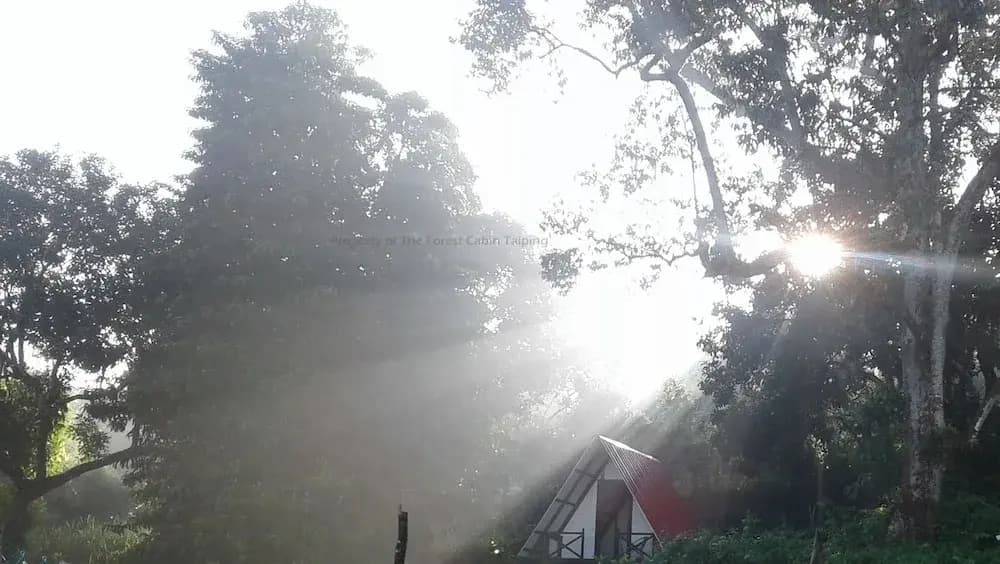 The Forest Cabin Taiping - photo 9
