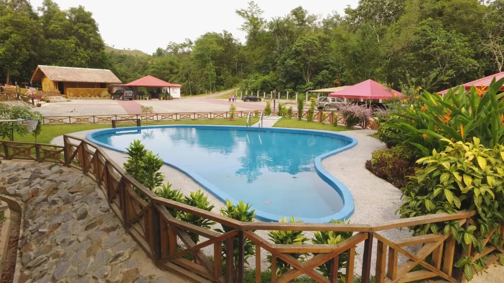 Borneo Tree House - photo 11