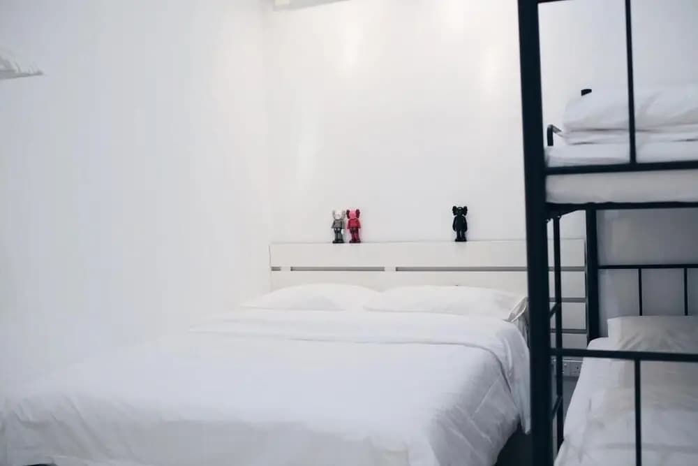 White Cottage Guest House - photo 9