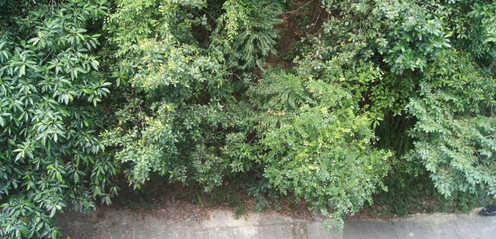 Hotel Hsiang Garden - photo 18