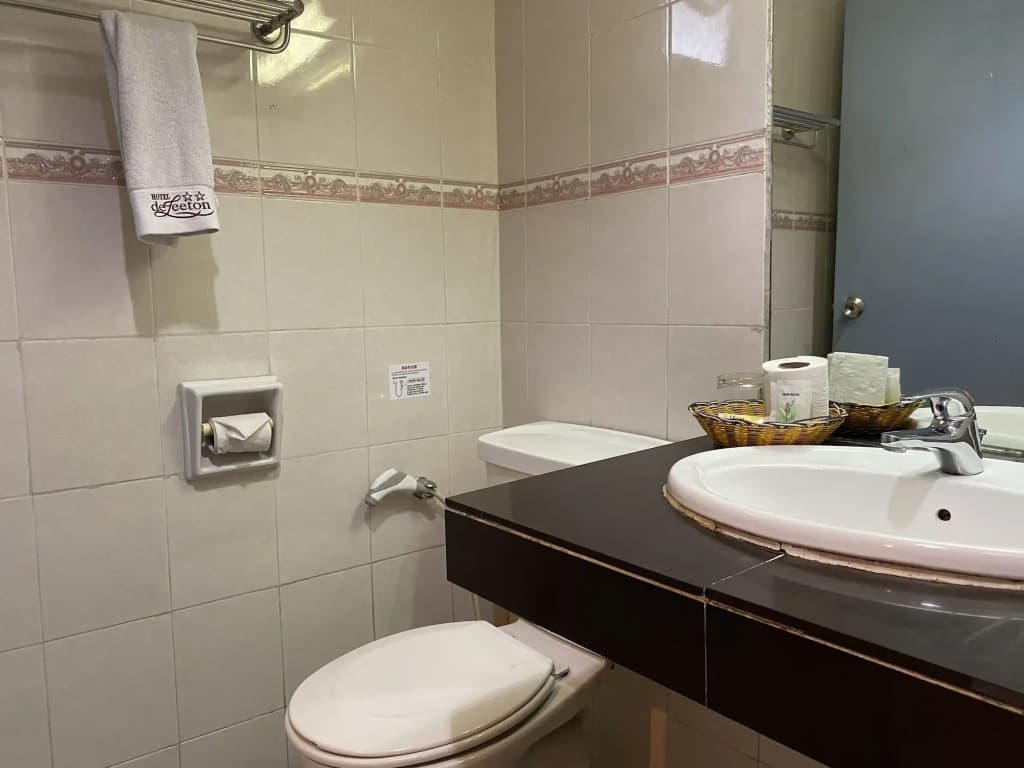 Hotel DeLeeton - photo 7