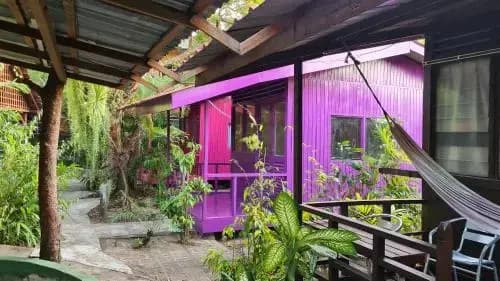 Gecko Guesthouse Langkawi - photo 9