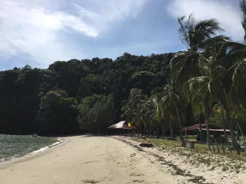 Wild Pasir Panjang Villas - photo 8