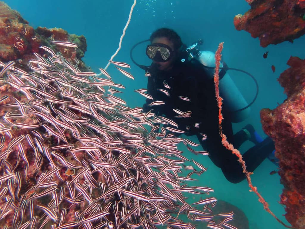 Gayana Marine Resort - photo 17
