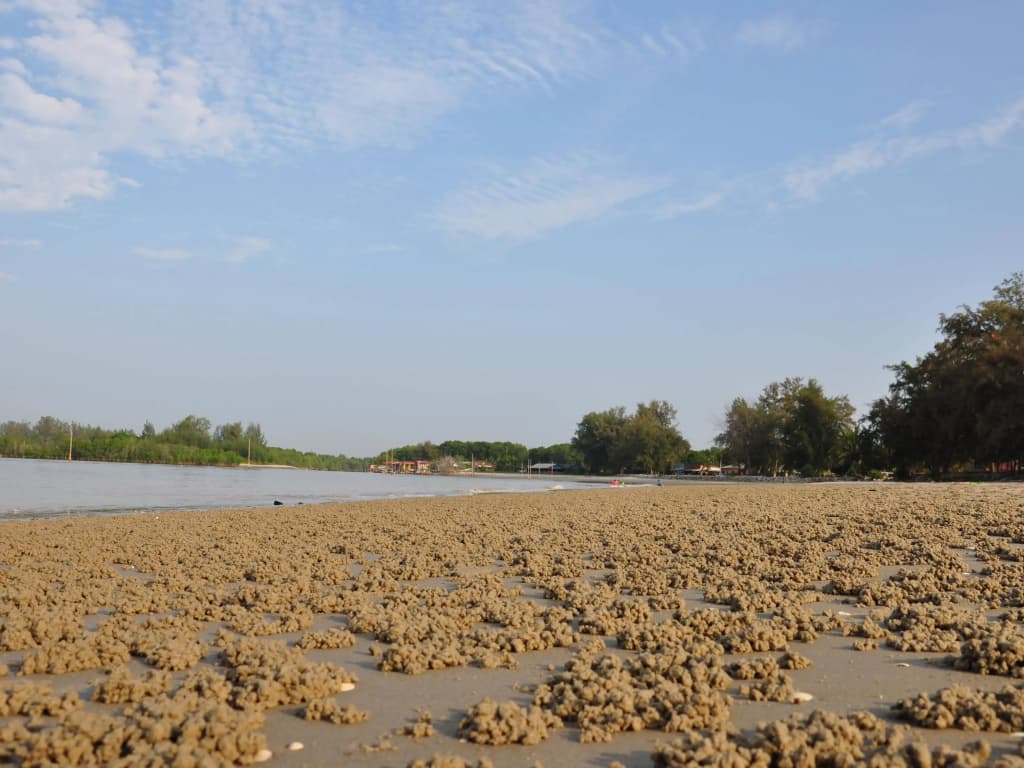 Seri Bayu Resort - photo 13