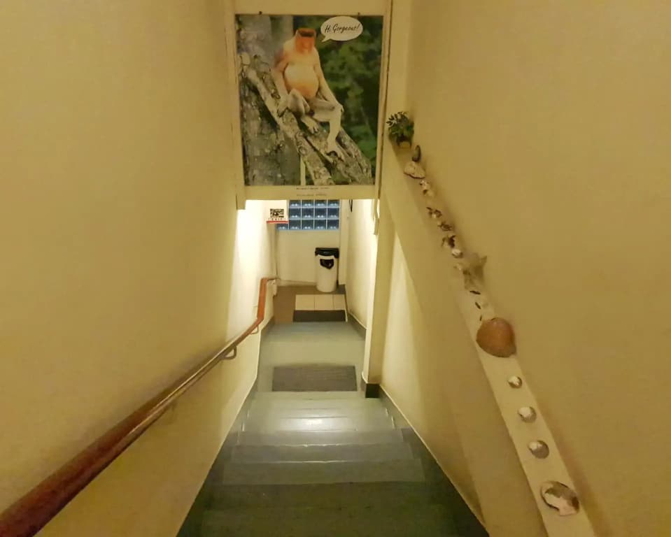 Lavender Lodge - photo 11