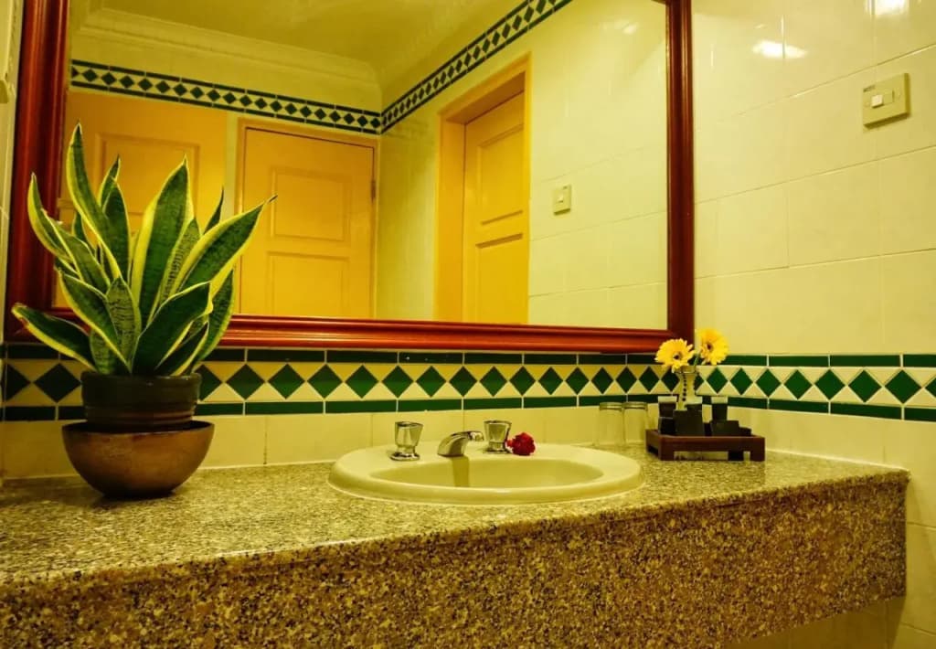 Leisure Cove Hotel & Apartments - photo 9