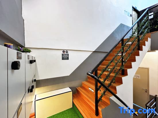 MetroCity Backpackers - photo 7