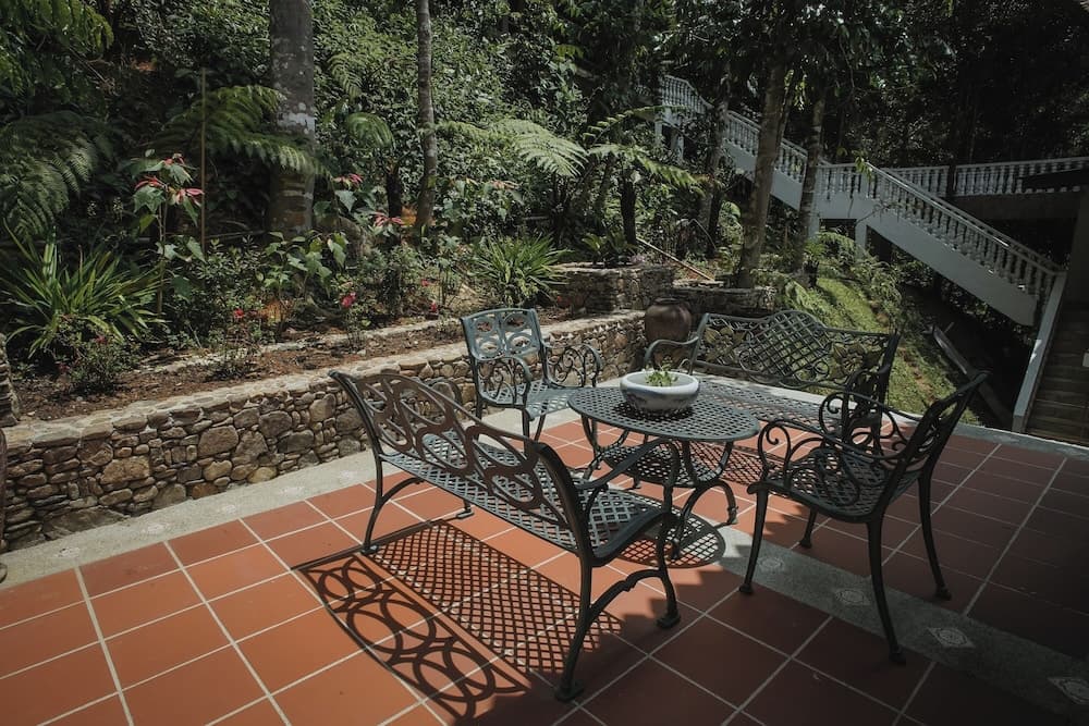 Kebun Rimba Janda Baik - photo 20