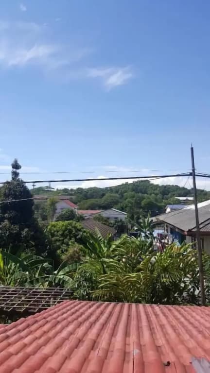 Preece's B & B - photo 21