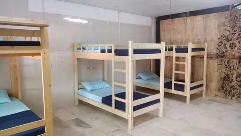 Red Eagle Bagpacker Hostel - photo 6
