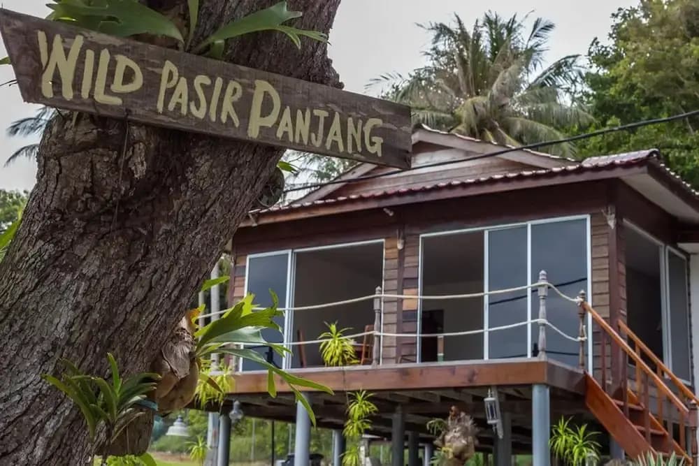 Wild Pasir Panjang - photo 1