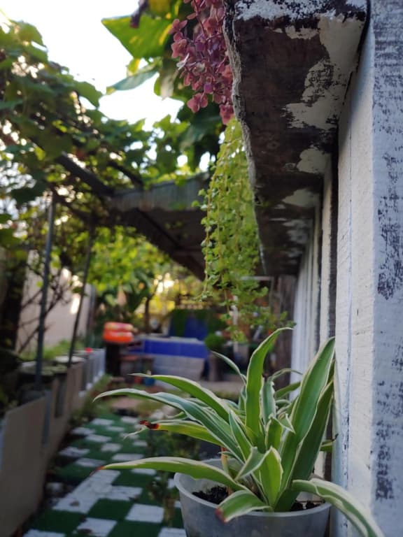 Tasek Homestay D Village Ipoh - photo 12