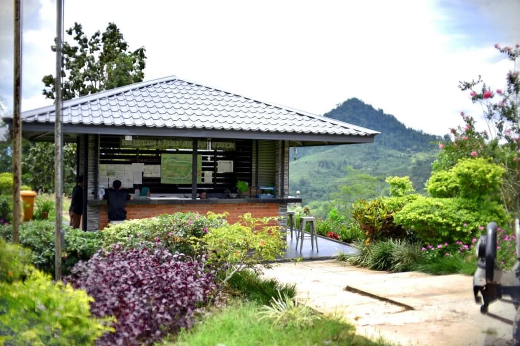 Sabah Tea Resort - photo 9