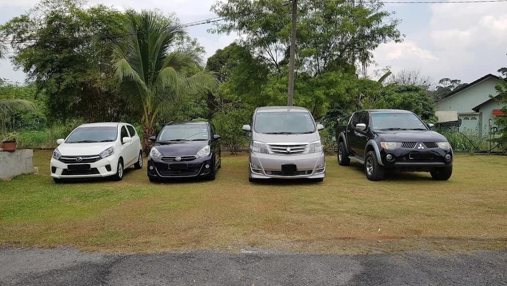 Riverside Lodge Desa Putra - photo 6