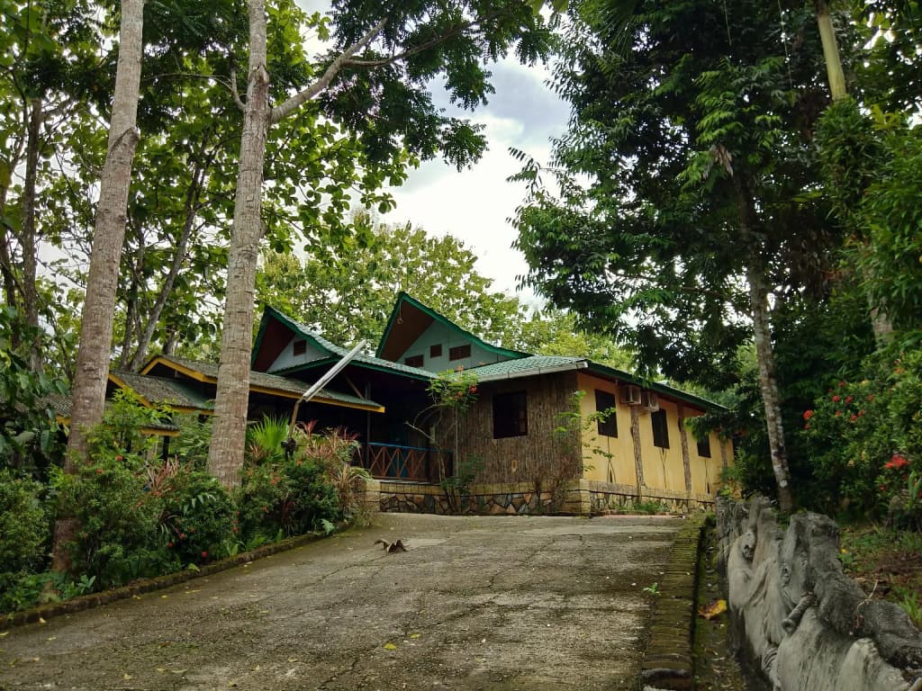 Sepilok Jungle Resort - photo 6