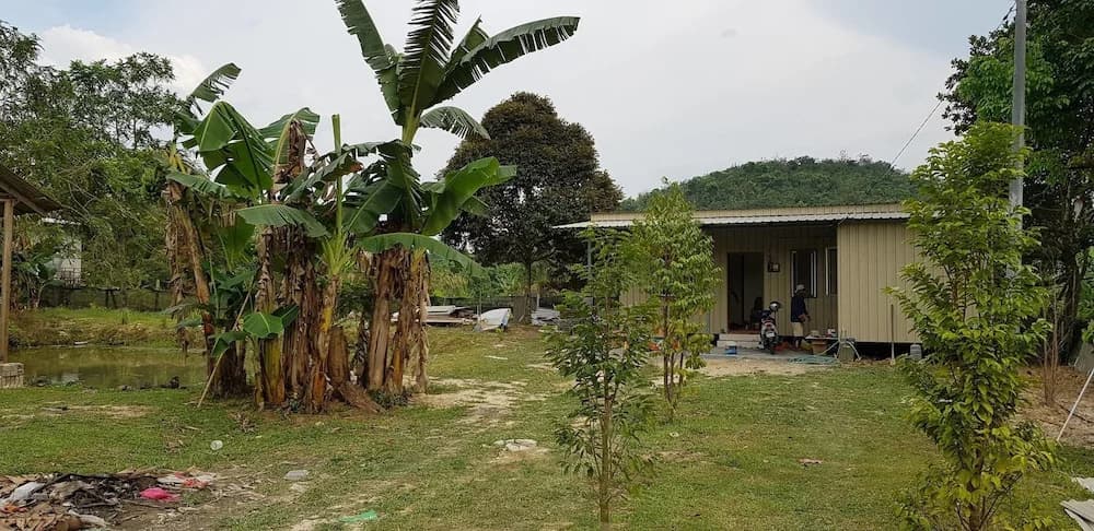 Riverside Lodge Desa Putra - photo 1