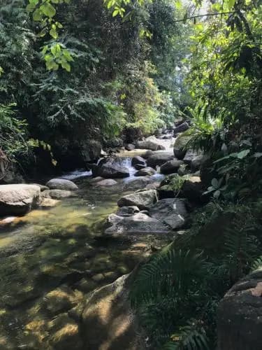 Zen Retreat Taiping - photo 15